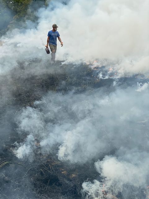 Will Chiles, Rockspan farm, controlled burn