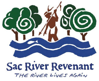 Sac river revenant, riparian corridor, sustainable trees, river restoration, river recovery, stream bank, stream bank stabilization
