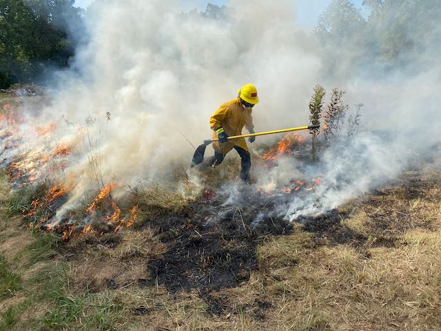 Corey Robb, Rockspan fire, controlled burn